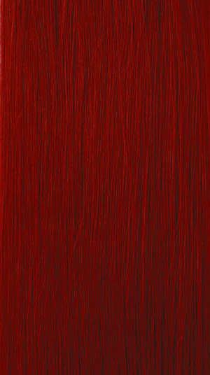 MODEL MODEL 3X FORMATION TOUCH BRAID - Image 6