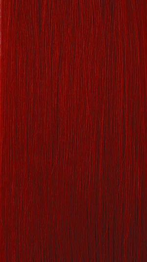Model Model Gardenia Straight Weave - Image 22