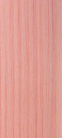 Model Model Gardenia Straight Weave - Image 31