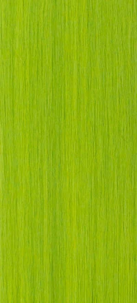 Model Model Gardenia Straight Weave - Image 32