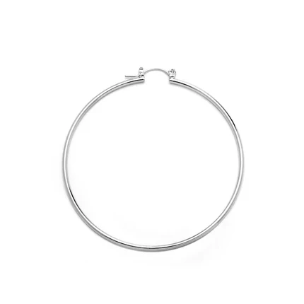 Joy Jewelry Earrings Delicate by Design - Image 94