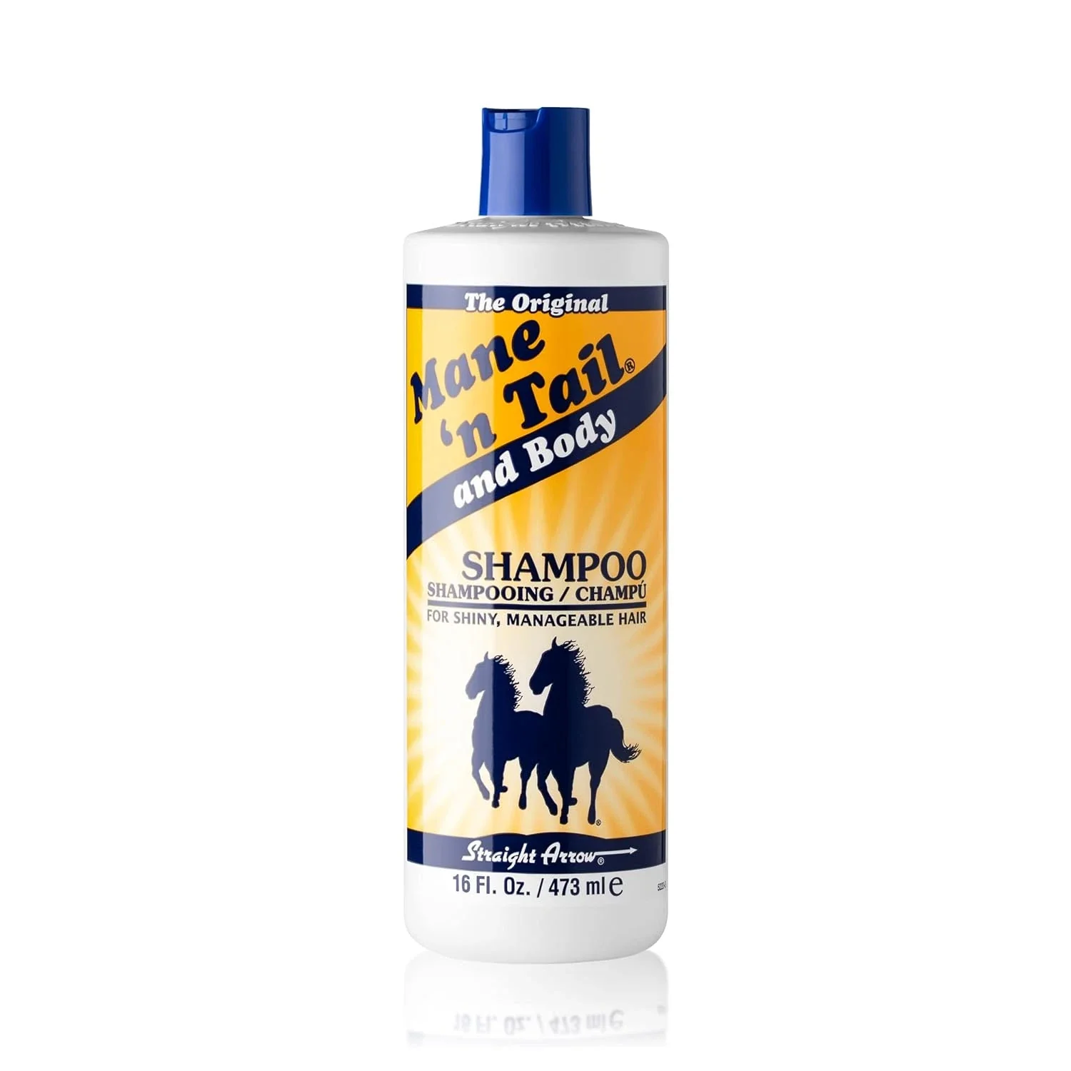 M&T And Body Shampoo 16OZ